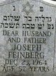  Joseph Feinberg