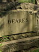  Beakes