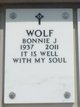 Bonnie J Wolf Photo