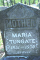  Maria <I>Woolston</I> Tungate