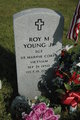  Roy M. Young Jr.