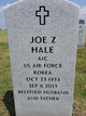 Joe Z Hale Photo