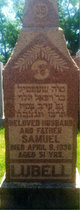  Samuel Lubell