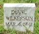 Diane Wilkerson Photo