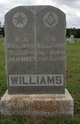  T. W. Williams