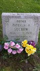 Patricia Ann <I>Van Fleet</I> Suckow