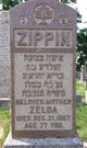  Zelda Zippin