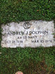  Andrew J Dolphin