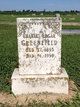  Charles Edgar Greenfield