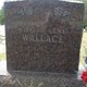  William Lewis Wallace
