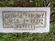  George F. Strubel