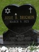 Josie B. Brigmon Bishop Nelson Photo