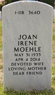  Joan Irene <I>Schaefer</I> Moehle