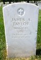  James A Taylor