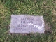  Alfred Fields