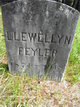  Llewellyn Feyler