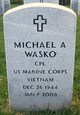  Michael A Wasko