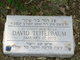  David Teitelbaum