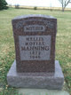  Nellie <I>Moffet</I> Manning