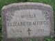  Elizabeth M Fiege
