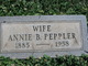  Annie B <I>Barrett</I> Peppler