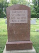  Caroline J Schmidt