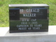 Fr Gerald Walker