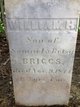  William H Briggs