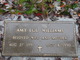  Amy Lou Williams