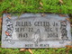  Julius Gettis Jr.