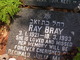  Ray Bray