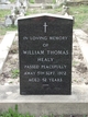  William Thomas Healy