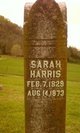  Sarah “Sallie” <I>Bryson</I> Harris