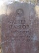  Walter J Taylor