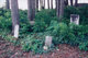 Rinehart Cemetery
