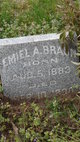  Emiel A. Braun