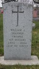  William A Shannon