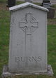  James A. Burns