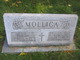  Phillip Mollica