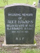  Alice Hawkins