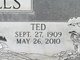 Theodore James “Ted” Wells Photo