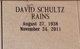 David Shultz Rains Photo