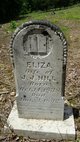  Elizabeth Jane “Eliza” <I>Rodgers</I> Hill