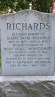  Albert David  Richards
