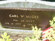  Carl W. McGee