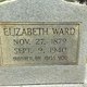  Elizabeth Irene “Lizzie” <I>King</I> Ward