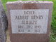  Albert Henry Schultz