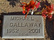 Michael Gallaway Photo