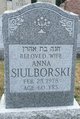  Ann <I>Abramofsky</I> Siulborski