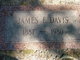  James Emlyn “Jim” Davis Jr.